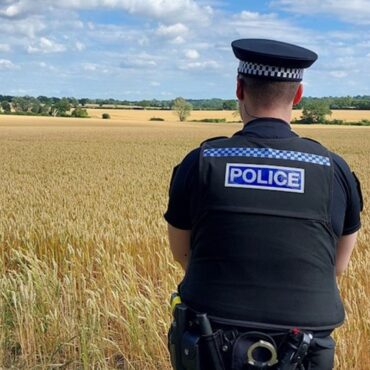 Two dead after light aircraft crashes in Essex during ‘short flight experience’