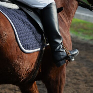 Two cross-country horse riders killed in separate accidents