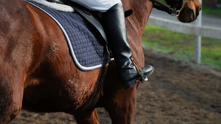 Two cross-country horse riders killed in separate accidents