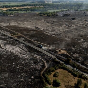 ‘Total devastation’: Suffolk wildfire still burning after two days as National Trust launches appeal