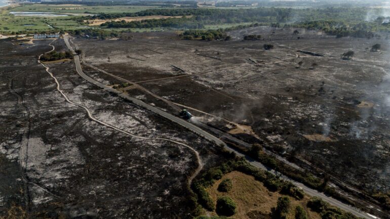 ‘Total devastation’: Suffolk wildfire still burning after two days as National Trust launches appeal