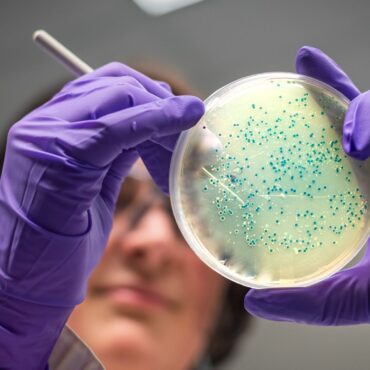 Salmonella outbreak linked to noodles affecting UK and 13 other countries