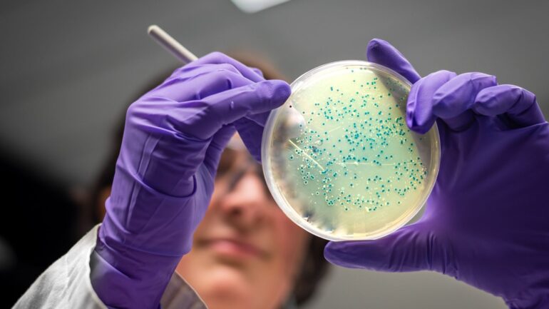 Salmonella outbreak linked to noodles affecting UK and 13 other countries