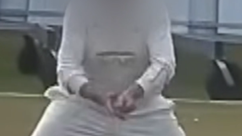 ‘Clicky Ponting’: Saltburn suspend player after cheating footage goes viral