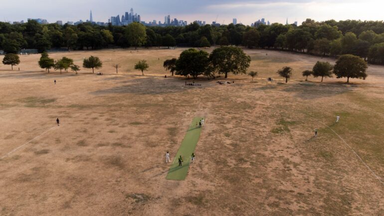 Half of England in drought, Environment Agency says
