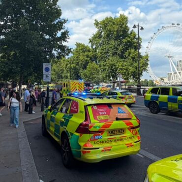 Police boat carrying armed officers crashes into bridge in London