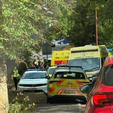 Man dies after being bitten by dog