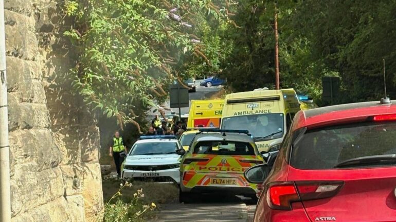 Man dies after being bitten by dog