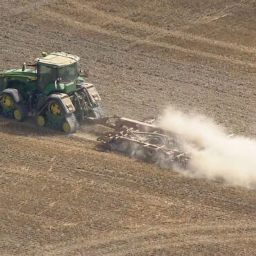 ‘Brutal’ harvest could be worst on record – and these are the foods that will be worst hit