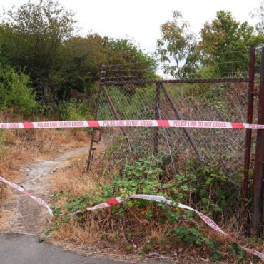 Murder investigation under way after human remains found in woodland