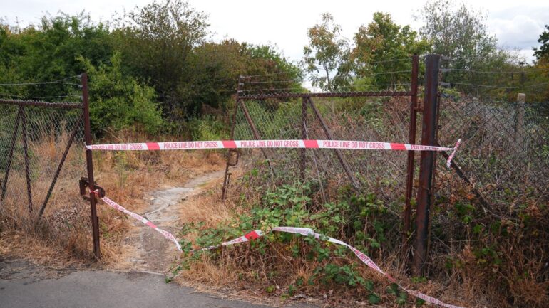 Murder investigation under way after human remains found in woodland