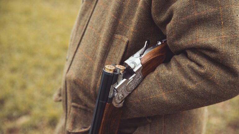 Problems with the gun licensing system are putting people in danger, inspectors warn