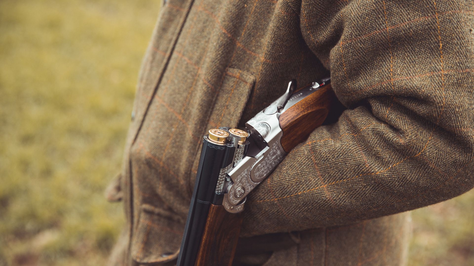 Problems with the gun licensing system are putting people in danger, inspectors warn