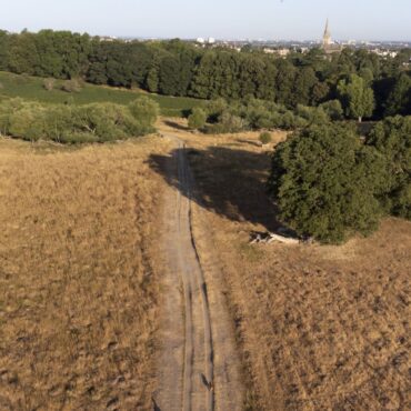 UK heat record set in 1995 will likely be broken next week