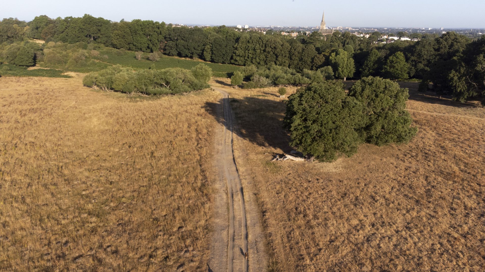 UK heat record set in 1995 will likely be broken next week