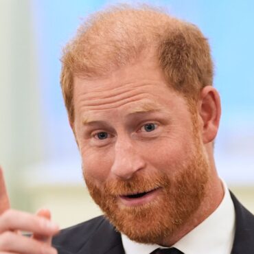 Prince Harry steps down from board of wildlife charity