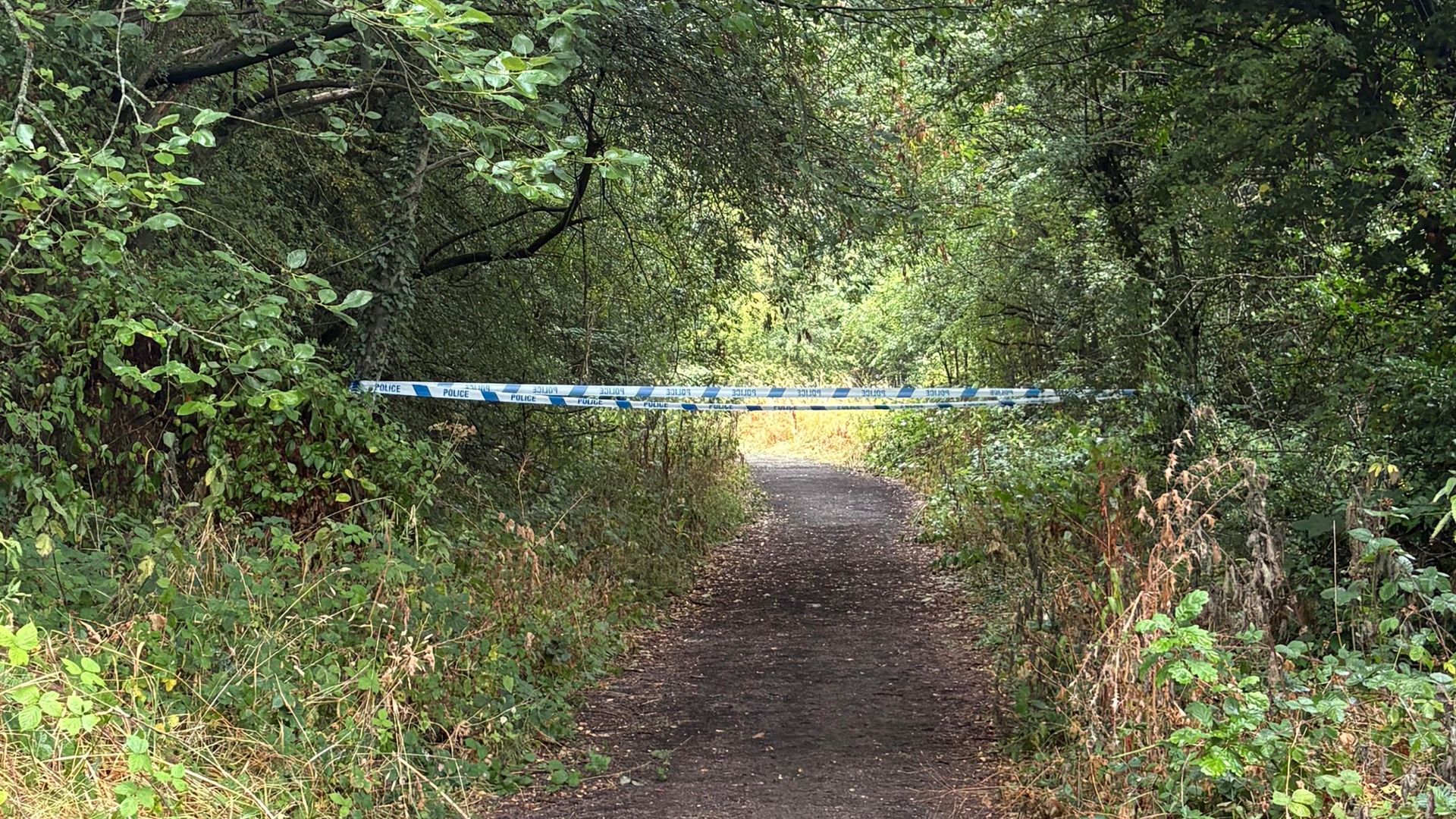 Man charged with manslaughter after man bitten by dog dies