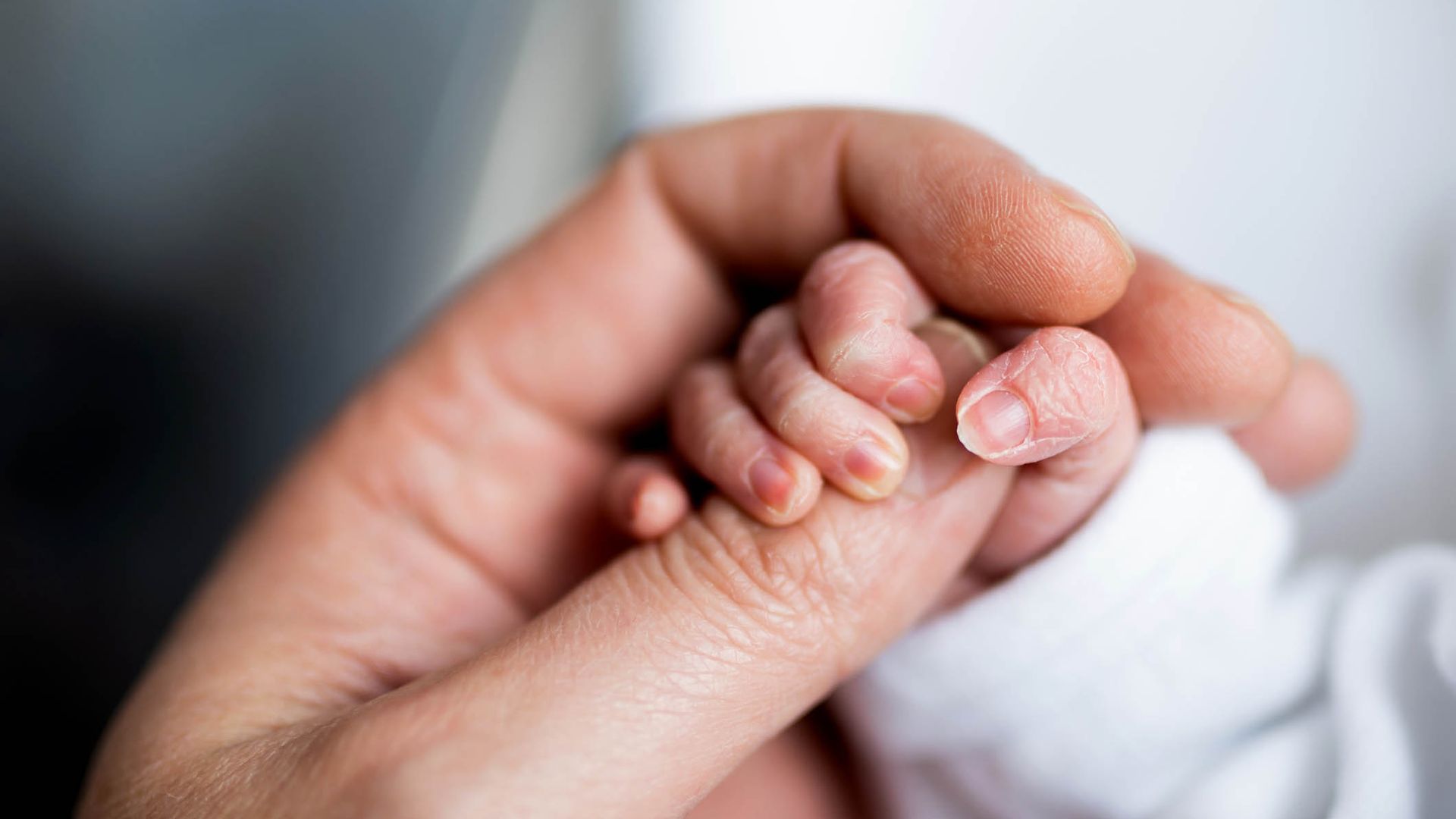 Northern Ireland has ‘highest infant mortality rate in UK’