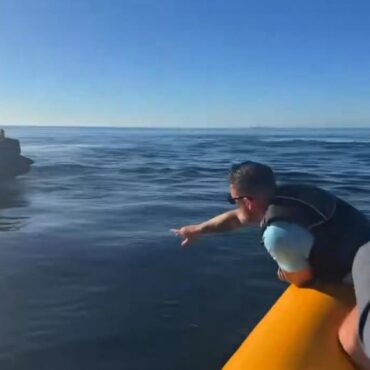 Anti-migrant activist Danny Tommo pleads not guilty to criminal damage over ‘boat slashing’