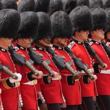 Bearskin caps worn by King’s Guards should be replaced with fake fur alternative, MPs say