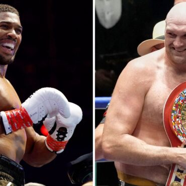 Date and UK venue confirmed for Joshua-Fury fight
