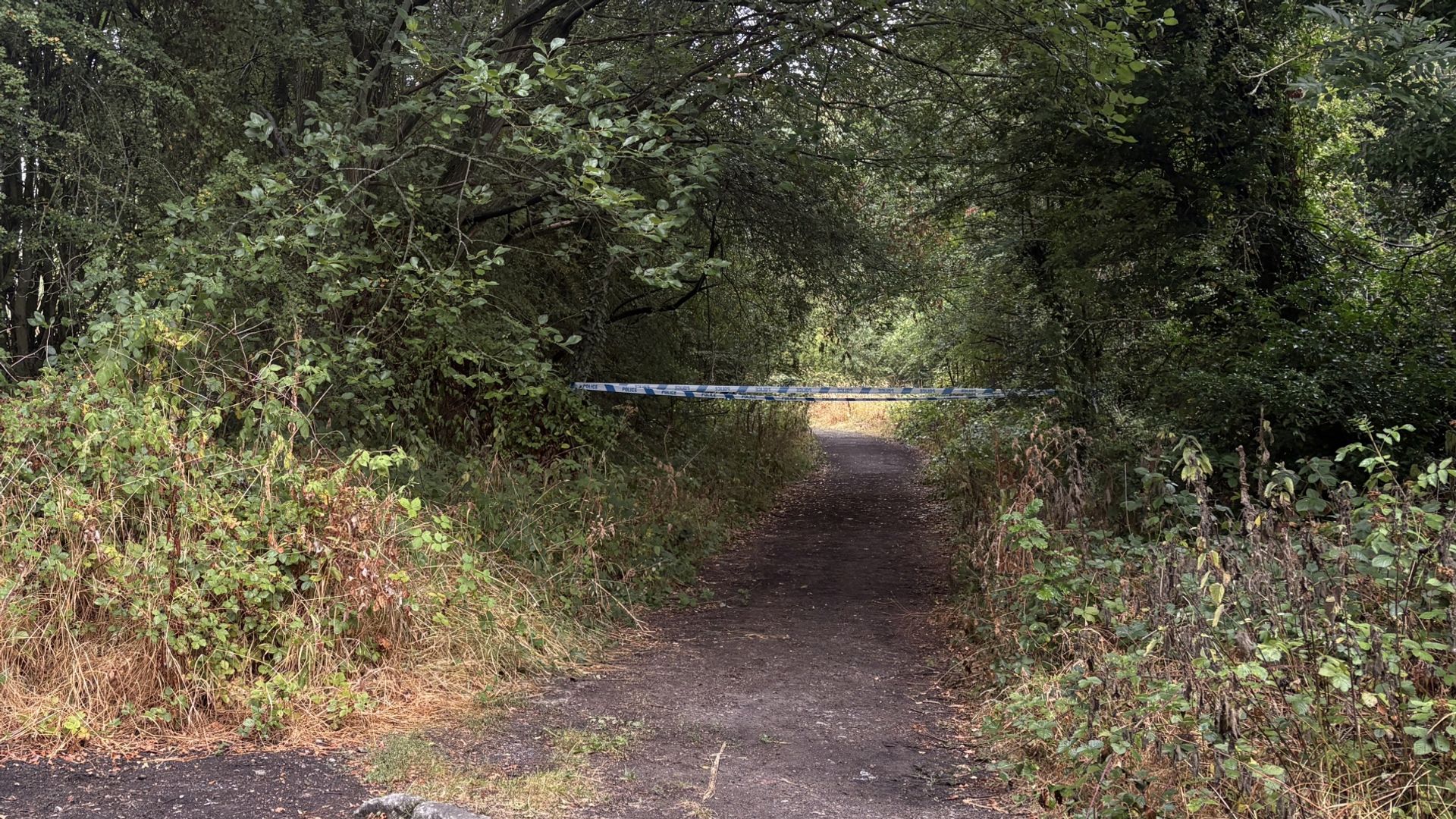 Man bitten by dog on path ‘died from complications of leg wound’, inquest hears