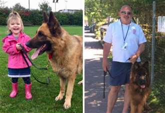 ‘They’ve listened to hundreds of stories’: Man whose dogs inspired children to read leaves Kent after 10 years