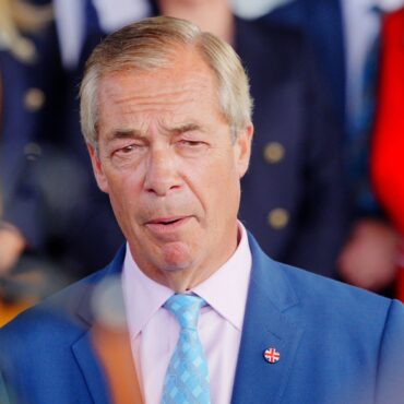Ann Widdecombe murder suspect charged with preparing terror acts including against Farage